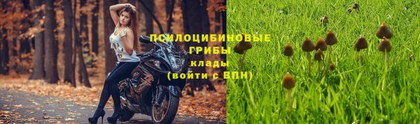 MDMA Premium VHQ Нефтегорск