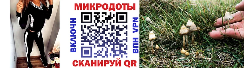 Купить закладки  Заречный  Галлюциногенные грибы Cubensis 